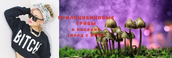 прущие грибы Сатка