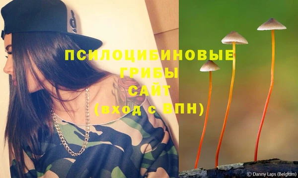 стаф Баксан