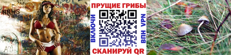 Псилоцибиновые грибы Psilocybine cubensis  площадка клад  Невель  хочу наркоту 